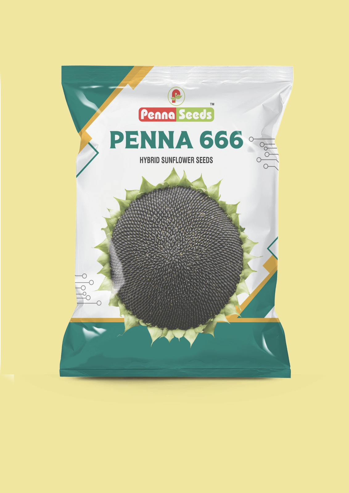  Penna 666
